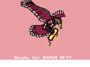 image 5 300x224 - صرافی غیرمتمرکز Ravendex کاردانو، مجموعه انحصاری NFT خود را راه اندازی کرد