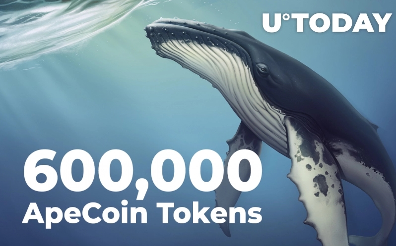 نزدیک به 600،000 توکن ApeCoin توسط برترین نهنگ های اتریوم خریداری شده است