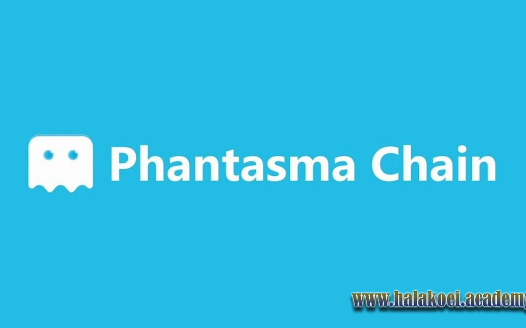 اکوسیستم فانتازما (Phantasma Chain)چیست؟ – آکادمی گرم متاورس